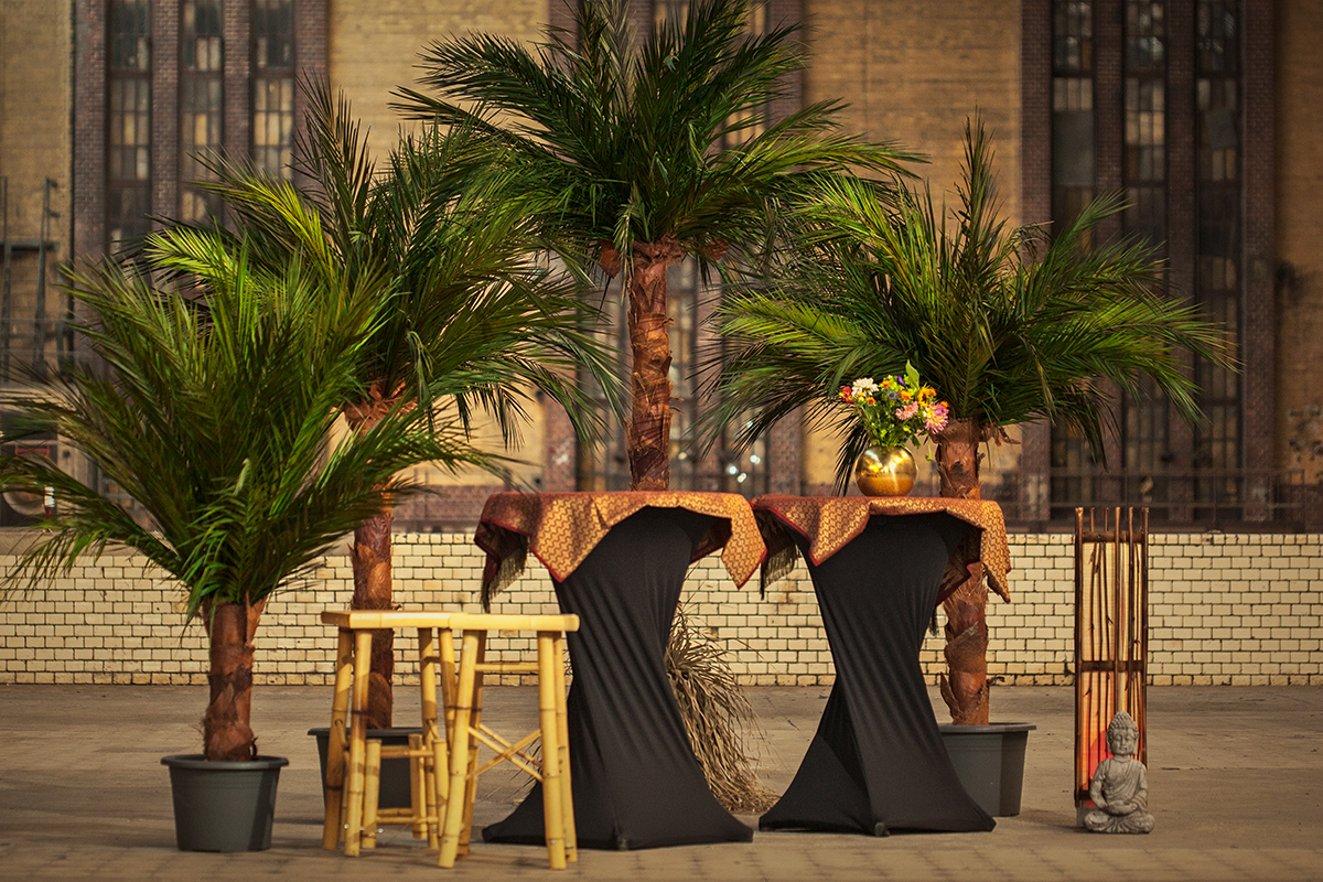 Palme echte Palmwedel